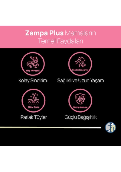 Zampa Plus Premium Tavuk Etli Yavru Kediler İçin Kuru Mama 15 KG