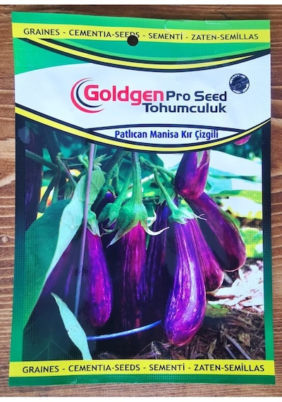 Goldgen Pro Seed Patlıcan Manisa Kır Çizgili