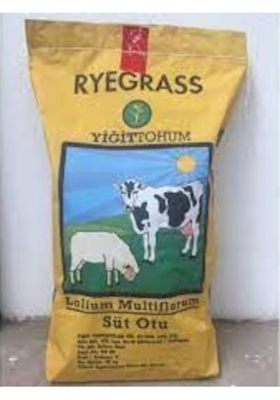 Yiğit RyeGRass Tohum Süt Otu Tohumu 25 KG