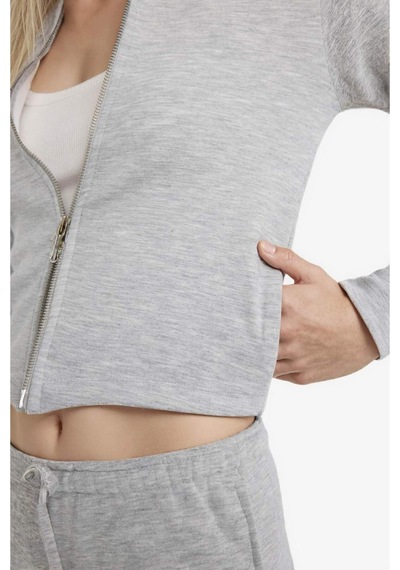 Defacto Slim Fit Dar Kesim Kapüşonlu Modal Fermuarlı Sweatshirt F7651ax25augr256 Gri