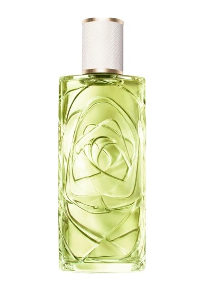 Lancome Off Now Edt 100 Ml Kadın Parfümü Narenciye