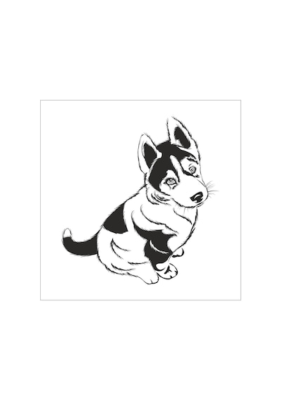Yavru Kurt Folyo Sticker 100cm Uzunluk Siyah