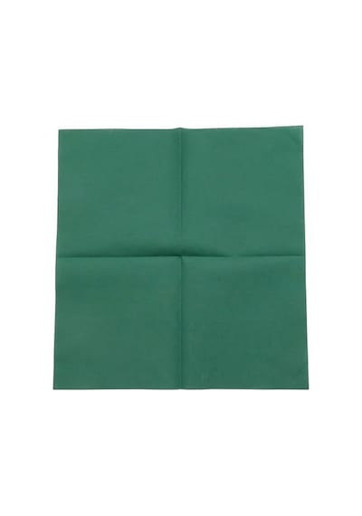 Ayrex Airlaid Peçete 40x40 Cm Açık Ölçü 20x20 Cm Katlı, 50'li Paket, Kumaş Dokulu, Hijyenik, Premium Sofra Diğer