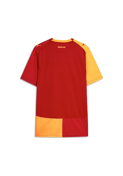 Puma Galatasaray 26/27 Erkek İç Saha Parçalı Forma 78499101