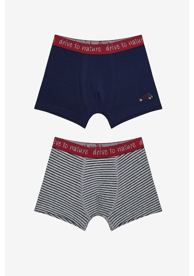 Penti Erkek Çocuk Drive To Nature 2li Çok Renkli Boxer Çok Renkli Çok Renkli