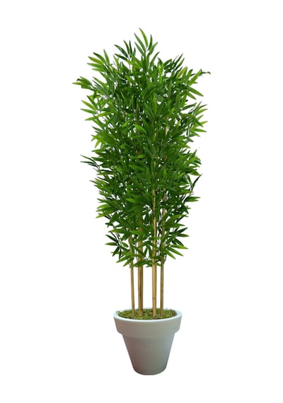 Yapay Bambu Ağaç 160 Cm 6 Dallı Yogun Yaprak Beyaz Plastik Saksı Yeşil