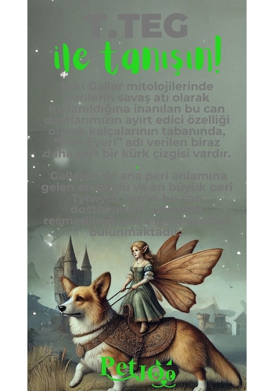 Petjoo 15.T.Teg Yeşil-Gri Qr'lı Köpek Künyesi