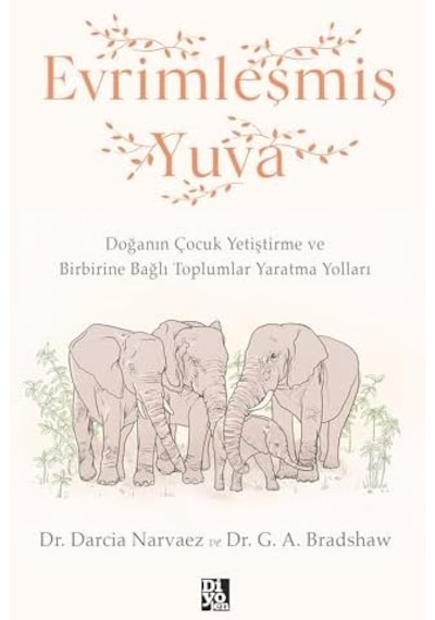 Evrimleşmiş Yuva