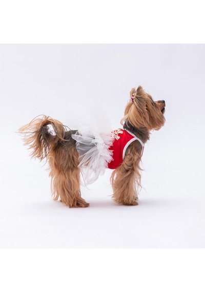 Kırmızı Girl Power Kedi Köpek Elbisesi - Kedi Köpek Kıyafeti