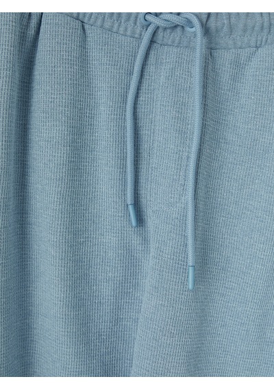 Lcwaıkıkı Classic Mavi Regular Fit Erkek Şort