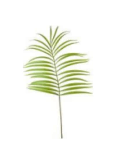 Yapay Palmiye Dalı - 130 Cm Çok Renkli