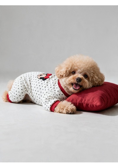 Polka Dot Rouge Minny Köpek Uyku Seti Siyah Beyaz Puantiyeli Penye Köpek Tulumu Ve Mini Yastık 2 Parça