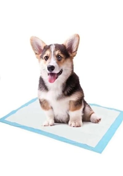 Cleanped 60x90 Kedi Köpek - Çiş Pedi