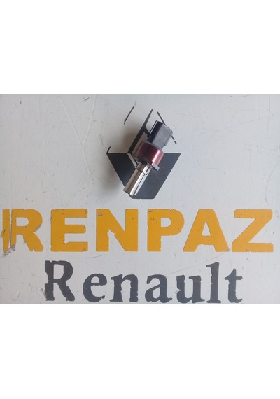 Renault-Dacia Basınç Kaptörü 166398000R