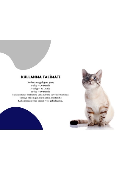 Pet Feed Forte Plus Cats 100 Ml Kedi İçin Tüy Sağlığı - Tüy Dökülmesi Önleyici Damla