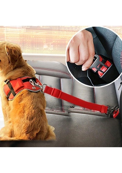 Evcil Hayvan Araç Emniyet Kemeri Kedi Köpek Araba Oto Tasması Oto Aksesuarı Kedi Köpek Emniyet Kemer Genel