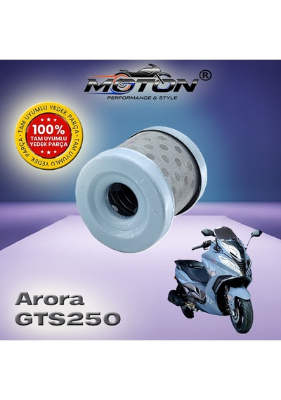 Arora Gts 250 Tam Uyumlu Yüksek Performanslı Motosiklet Yağ Filtresi