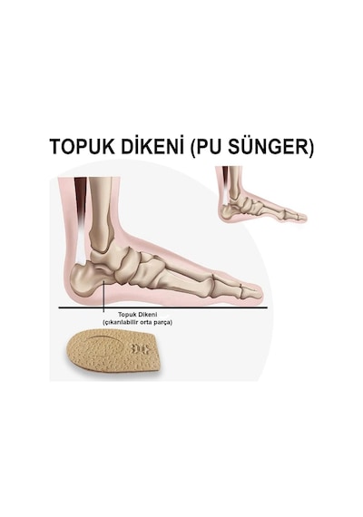 Lt05 - Deri Topuk Koruyucu - Topuk Dikeni Topuk Yükseltici Deri Topuk  38-40