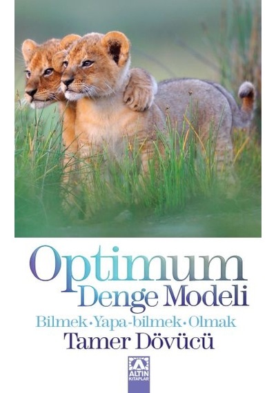 Optimum Denge Modeli - Yqbx-764222