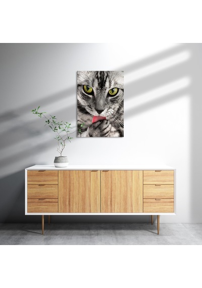Cakasepetim Patilerini Yalayan Kedi Yakın Çekim Ahşap Mdf Tablo