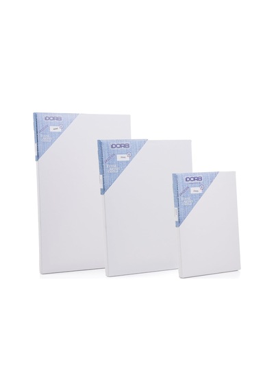 Profesyonel Tuval - 30x30cm Standart