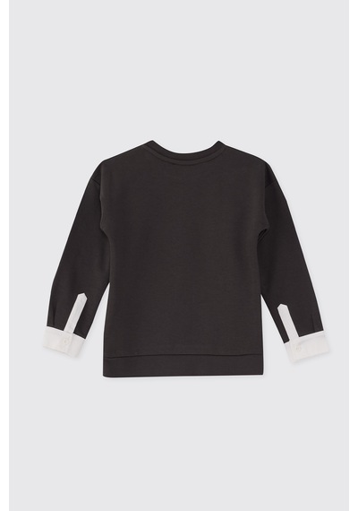 Panço Erkek Çocuk Dinozor Baskı Antrasit Sweatshirt Gri