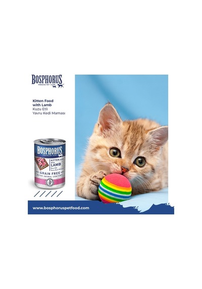 Bosphorus Kuzu Etli Küçük Taneli Yavru Kedi Konserve Maması 48 X 415 Gr Parça Etli