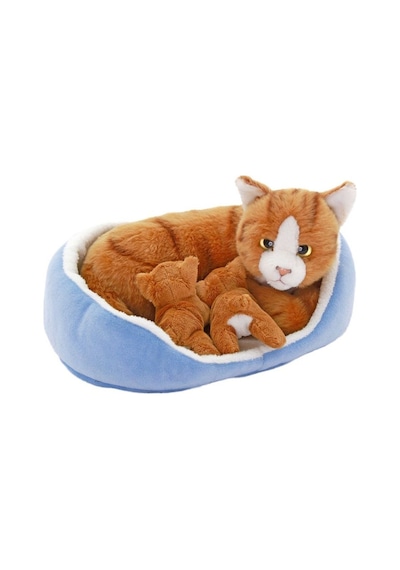 Sepette Yavrulu - Kedi