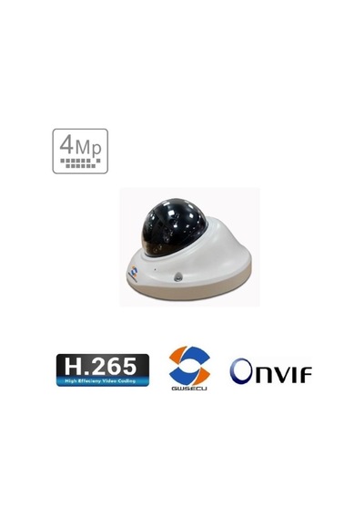 Gwsecu Kd-Ma35Rc22-P Güvenlik Kamerası