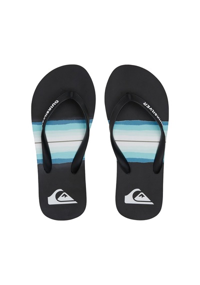 Quiksilver Quıksılver Molokaı Resın Tınt Youth Kvj1 Siyah