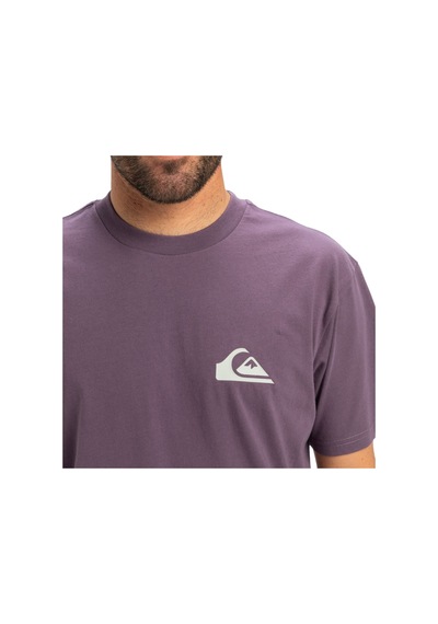 Quıksılver Quiksilver Ev Mini Logo Erkek Mor Tişört Pqc0 Mor