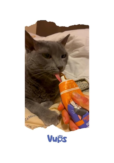 Vups Tüy Yumağı Karşıtı Kedi Malt Macunu 100 Gr