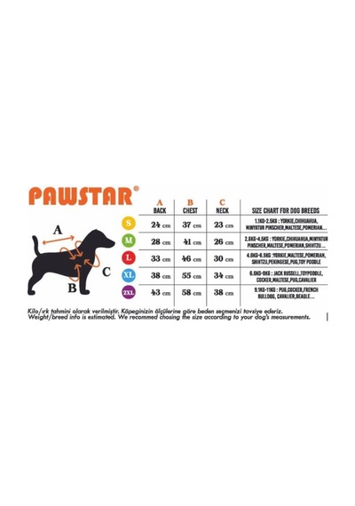 Pawstar Mint Arosa Nivalis Küçük Irk Köpek Elbisesi