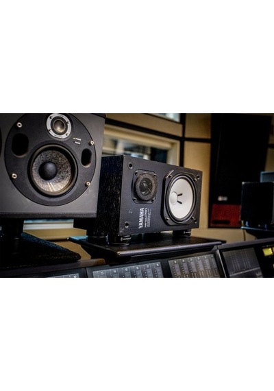 Isoacoustics Iso-Puck Çift