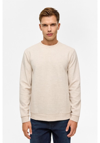 Süvari Bej Regular Düz Bisiklet Yaka Sweatshirt-38782 Bej