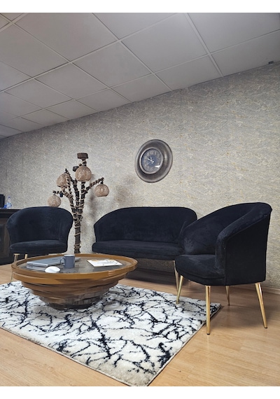 Zafir Teddy Takım Gold Kaplama Sivriltme Ayak Çay Seti Koltuk - Berjer , Balkon, Salon, Ofis Siyah Zafir Teddy Takım Gold Kaplama Sivriltme Ayak Çay Seti Koltuk - Berjer , Balkon, Salon, Ofis Siyah