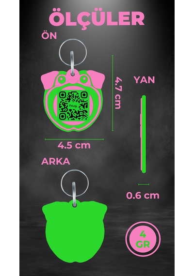 Petjoo 9.Konfüçyüs Yeşil-Pembe Qr'lı Köpek Künyesi