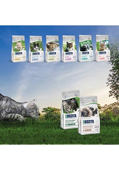 Outdoor Active Sterilised Kuzulu Kısır Kedi Sı 2 Kg 100 G