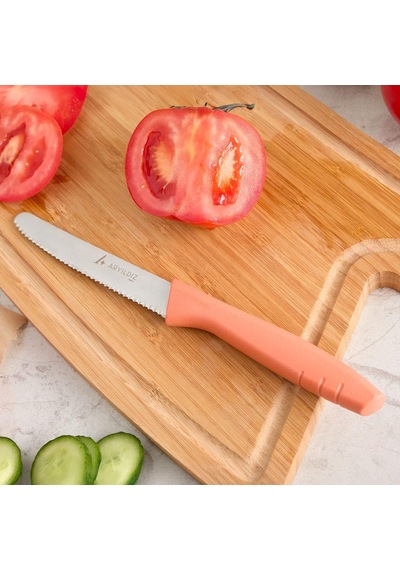 Aryıldız Primo Domates Bıçağı Somon 10 Cm Diğer