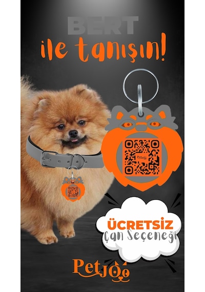 Petjoo 13.Bert Turuncu-Gri Qr'lı Köpek Künyesi
