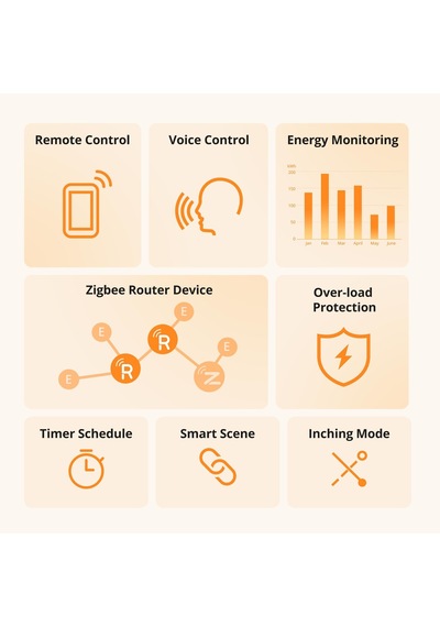 Sonoff S60 Zigbee Akıllı Priz S60zb