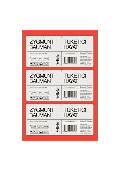 Tüketici Hayat - Ekonomi Ve Toplum Üzerine Derinlemesine Analiz
