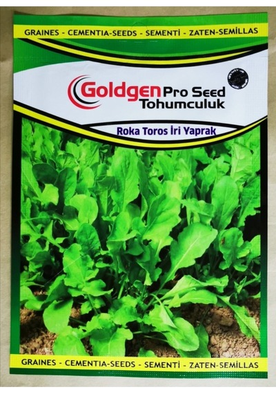 Goldgen Pro Seed Roka Tohumu Toros İri Yaprak