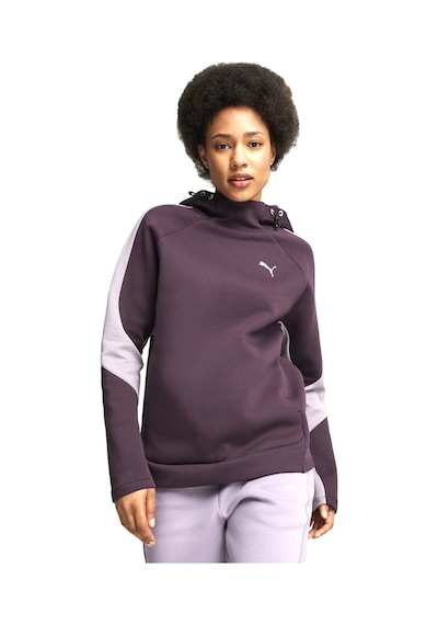 Puma Kadın Hoodıe Evostrıpe Hoodie 68166944 001