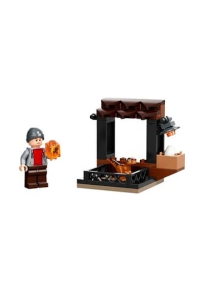 LEGO® 30390 Jurassic World Dinozor Pazarı 34 Parça
