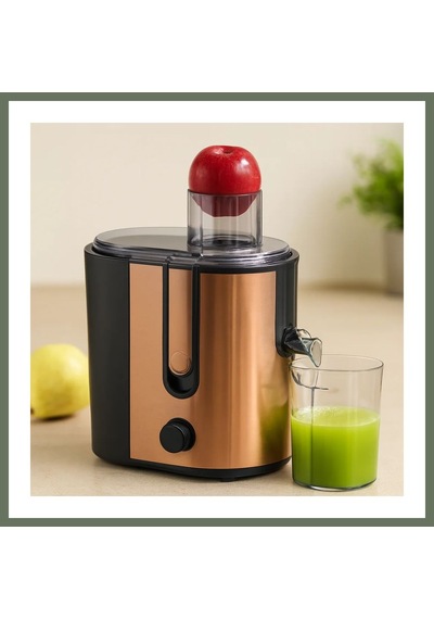 Bezos 600w Katı Meyve Sıkacağı - 65mm Besleme, Çelik Filtre, 1250ml Posalı Hazne Bezos1