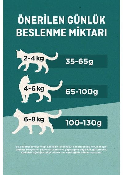 Purina One Somonlu Kısırlaştırılmış Kedi Maması 1,4 Kg