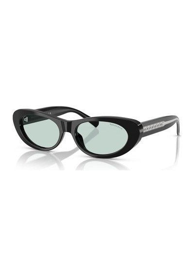 Tiffany Tf4236u 8001d9 55 Kadın Güneş Gözlüğü Siyah