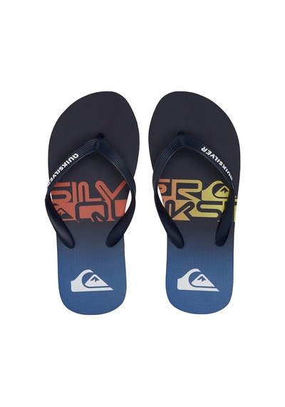 Quiksilver Molokaı Art Youth Mavi Mavi