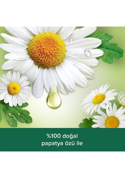 Body & Mind Papatya Özü Ve Doğal Yağ İle Rahatlatıcı Banyo Ve Duş Jeli 500 Ml Diğer